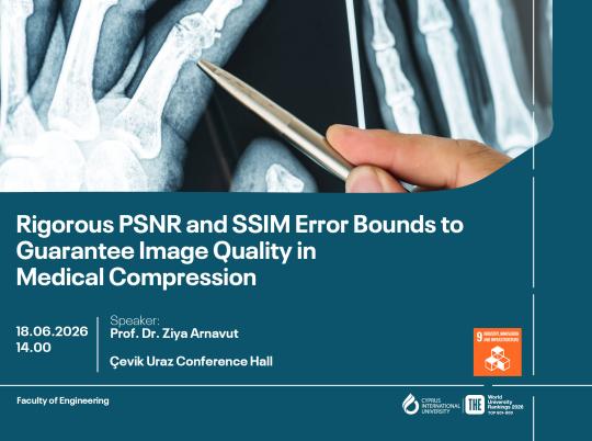 Rigorous PSNR-03.jpg